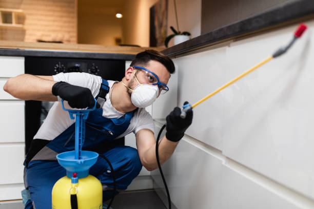 Best Residential Pest Control  in Long View, NC