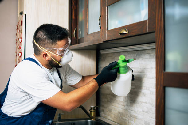 Best Cockroach Control Services  in Long View, NC