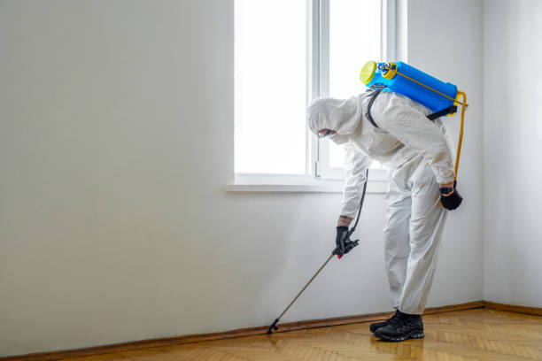Best Wildlife Control Services  in Long View, NC
