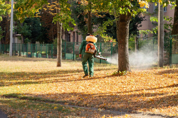 Best Mosquito Control Services  in Long View, NC