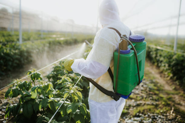 Best Best Pest Control Companies  in Long View, NC